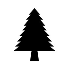 pine tree forest natural flora image vector illustration