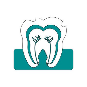 molar tooth inside dentistry icon image vector illustration design