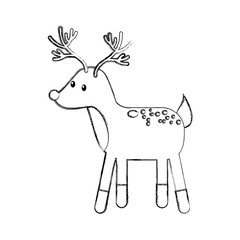 forest deer wildlife animal fauna natural vector illustration