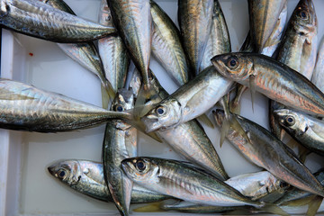 Obraz premium Fischmarkt in Catania. Sizilien. Italien 