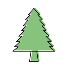 Obraz premium pine tree forest natural flora foliage vector illustration