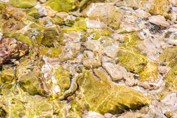 Seabed through crystal clear water in Bayahibe, La Altagracia, Dominican Republic. Close-up.