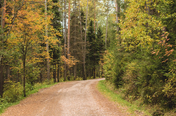 Autumn landscape, yellow trees, mountains,  road