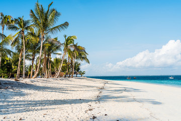 beautiful seascape with palms on a beach and blue sky - obrazy, fototapety, plakaty