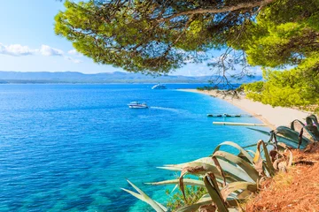 Foto auf Acrylglas Strand Golden Horn, Brac, Kroatien View of famous golden horn beach at Bol on Brac island of Croatia in summertime