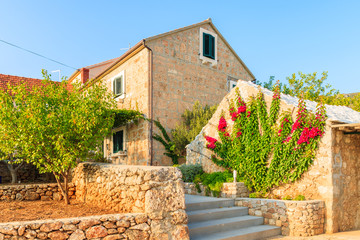 Typical stone house decorated with flowers and grapevines in Bol old town, Brac island, Croatia