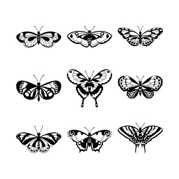 Set of black butterfly silhouettes, vector illustration.