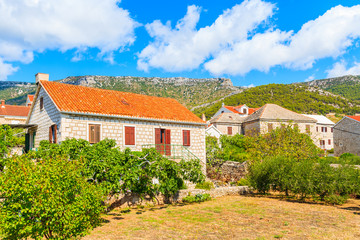 Fototapeta na wymiar Stone houses and olive trees in Bol town with mountains in background and sunny sky, Brac island, Croatia