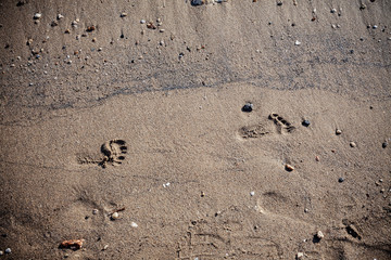 Footprints in Sand