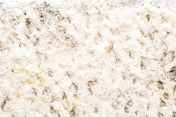 closeup of dirty white concrete wall