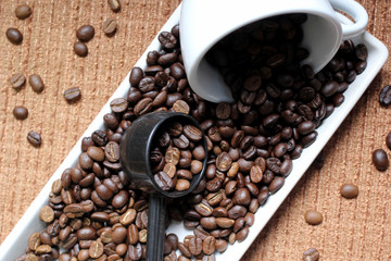 roasted coffee beans