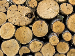 Natural wood log background