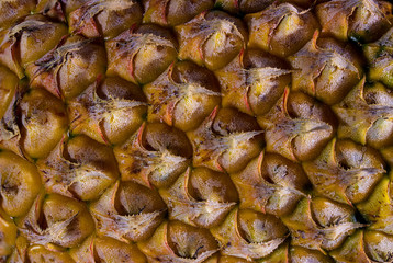 Food background. Close up texture of fresh  pineapple