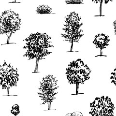 hand drawn seamless pattern with graphic trees on white background