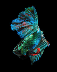 Obraz premium Rainbow