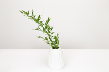 A green plant in a white vase