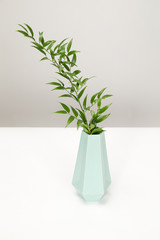 Turquoise vase with a green plant