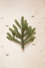Spruce branch on wooden background.