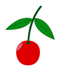 Fresh Cherry  - clip-art vector illustration