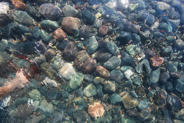 Naklejka na ściany i meble pebbles on the seabed transparent water