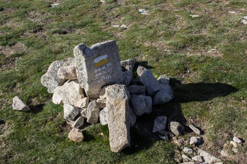 ruta
