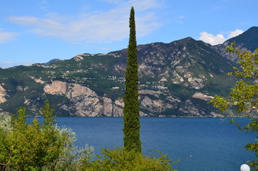 Gardasee