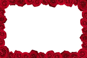 Velvet curtains Roses Frame made of red roses. Isolated on white.