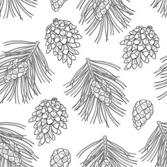 Vector seamless pattern with outline Scots pine or Pinus sylvestris. Pine and cones in black on the white background. Pattern in contour style with coniferous for Christmas design and coloring book.