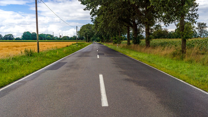Eine Straße gesäumt von Feldern und Bäumen 