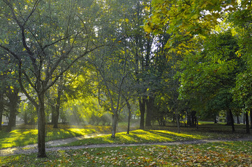 Jesienny Park