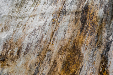 The old wood texture with natural patterns and cracks on the surface as background