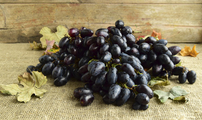 The bunch of the ripened, black grapes is on a wooden dish.