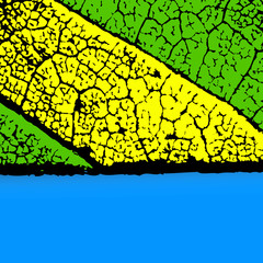 Abstract Colored Messy Texture Vector Business Banner