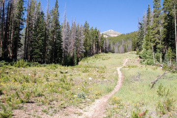 Trail to a mountain peak in Breckenridge, Colorado