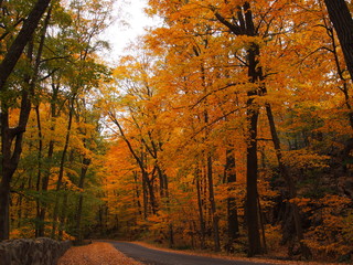 Fototapeta premium ウィスコンシン州デビルズレイクの秋