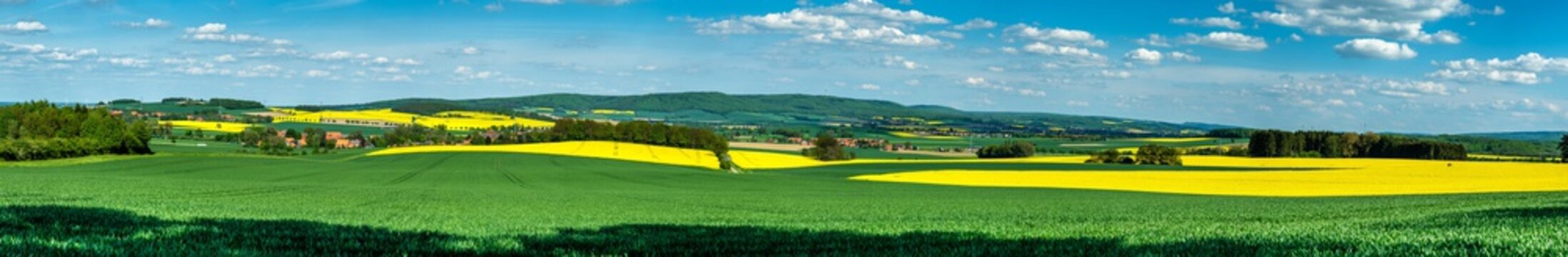Der Deister H&ouml;henzug im Panorama mit gelbem Raps am Abend im Fr&uuml;hling.