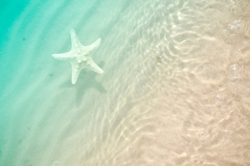 Fototapeta na wymiar starfish on the summer beach with sand