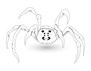 White Spider Illustration