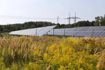 Fototapeta premium Solar Power Station on the summer Meadow 