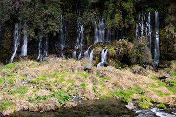 白糸丿滝「世界文化遺産」静岡県富士宮市