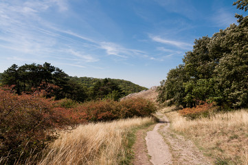 Pasture plain with grass and lake in the background