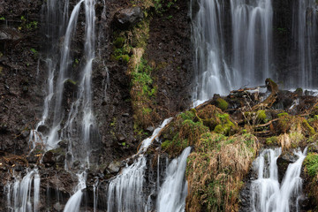 Obraz premium 白糸丿滝「世界文化遺産」静岡県富士宮市