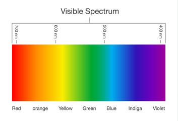 Chart of Visible spectrum color. Illustration about Human vision and light. - obrazy, fototapety, plakaty