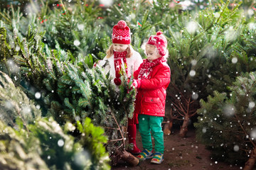 Kids select Christmas tree. Family buying Xmas tree.