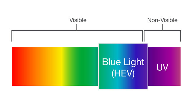 Blue light in visible spectrum. Illustration about Human vision.
