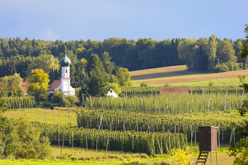 Hopfenland Hallertau © artfocus