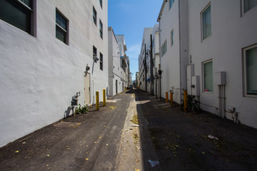 Miami Beach Lane