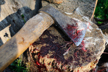Ax in blood close-up against feathers background