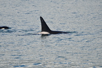 Trip to Washington, Oregon, USA