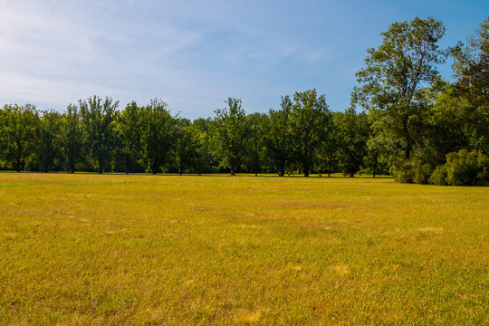 View of the dendrological garden in Askania-Nova reserve, Ukraine